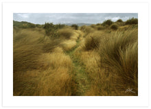 Load image into Gallery viewer, Tussock Path to Mason Bay